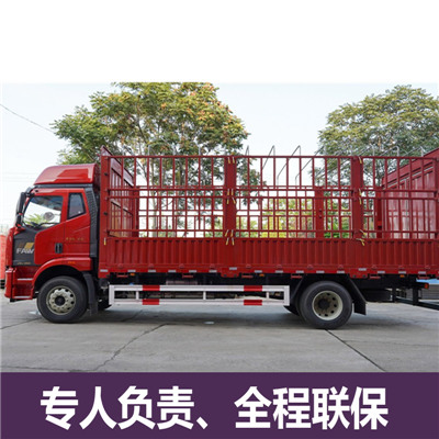深圳到銀川賀蘭縣物流專線-深圳到銀川賀蘭縣貨運價格-物流公司電話